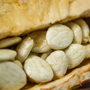 MACAMBO beans